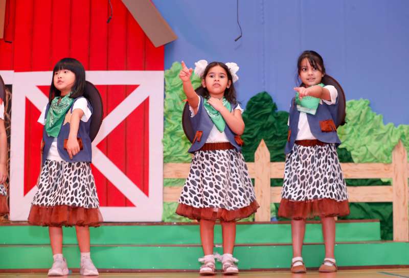 Gallery photo 14