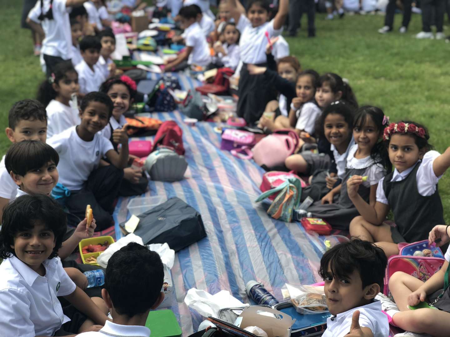 Picnics