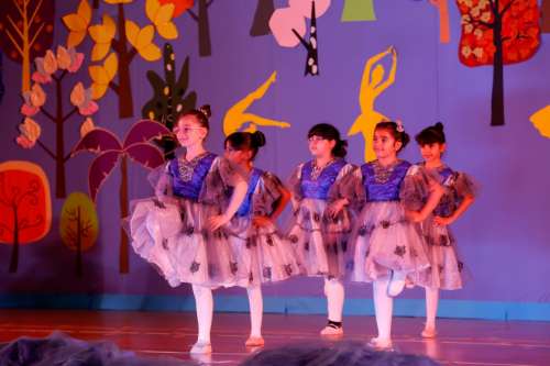 Summer show 2024